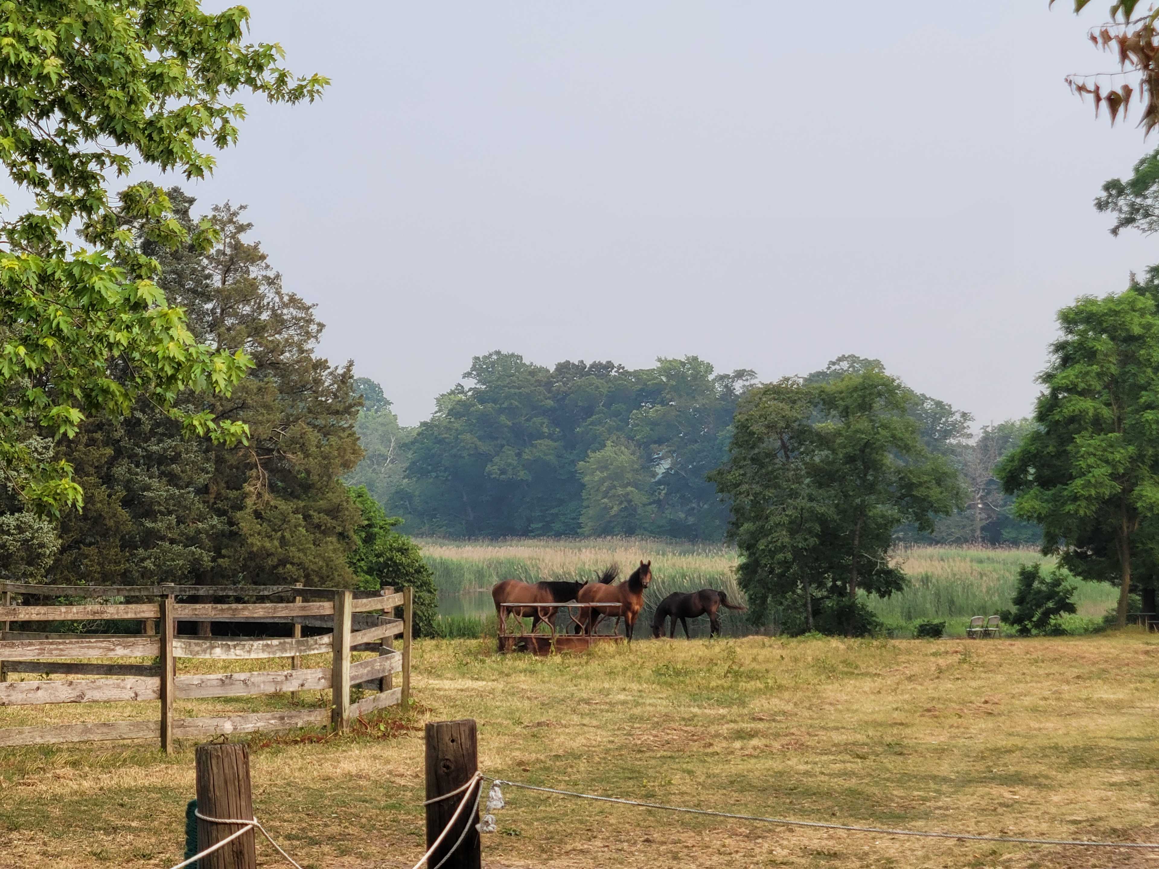 The 2026 Stable Travel guide: How to Plan the Perfect Equestrian Vacation