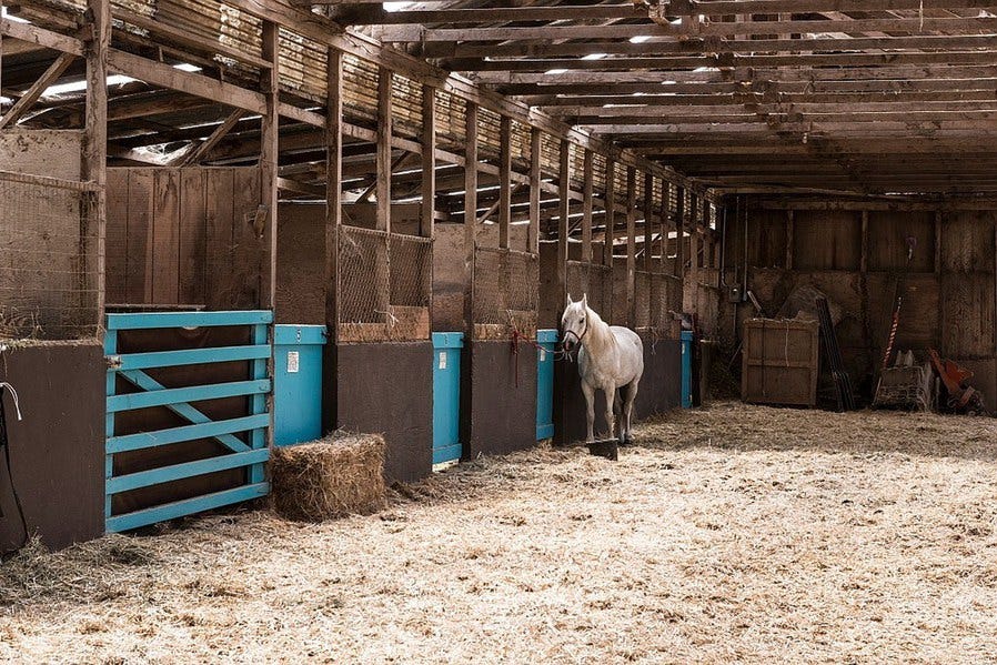 The Stable