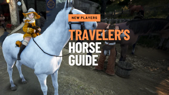 The Stable Traveler’s