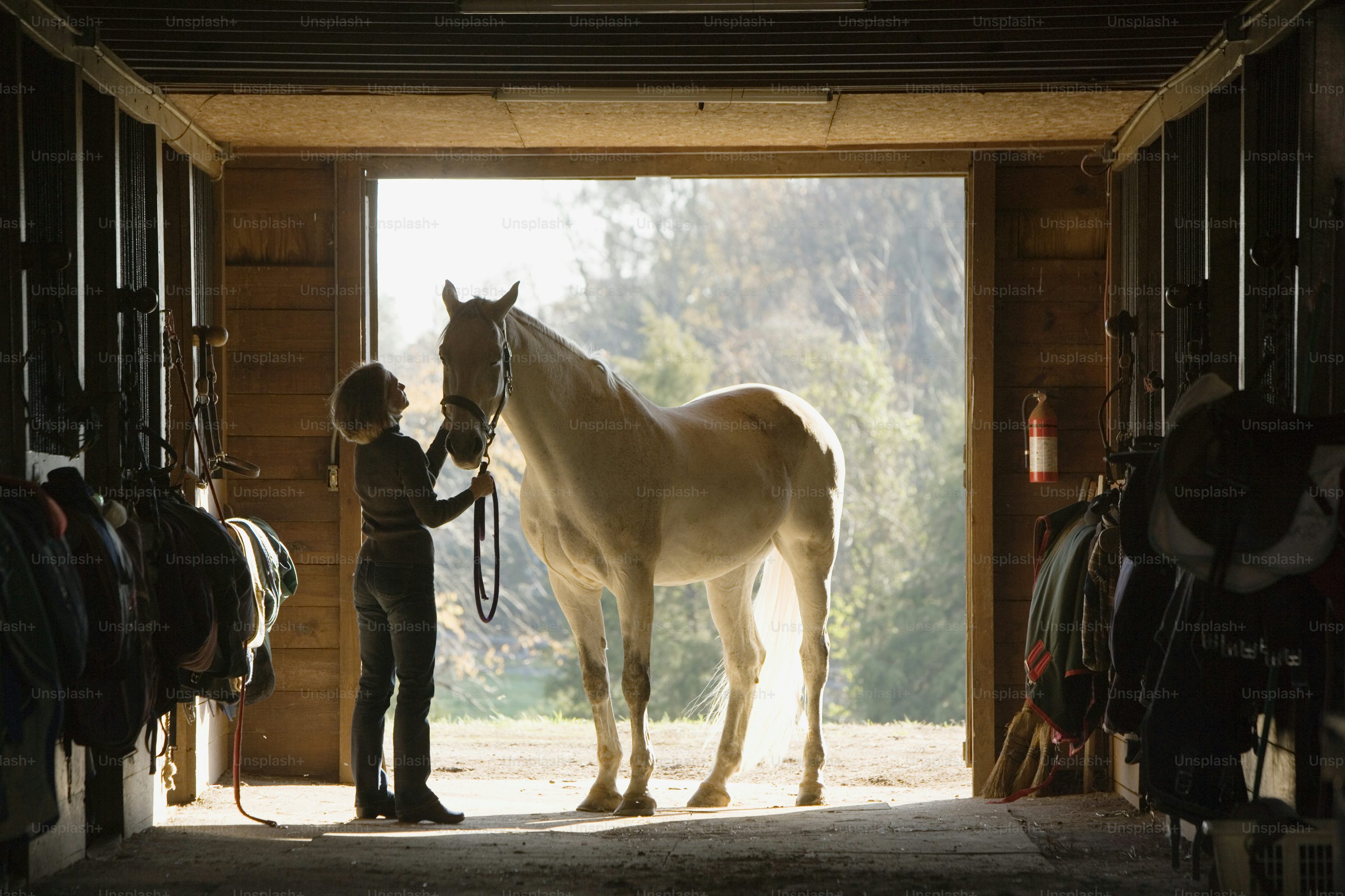 The Stable