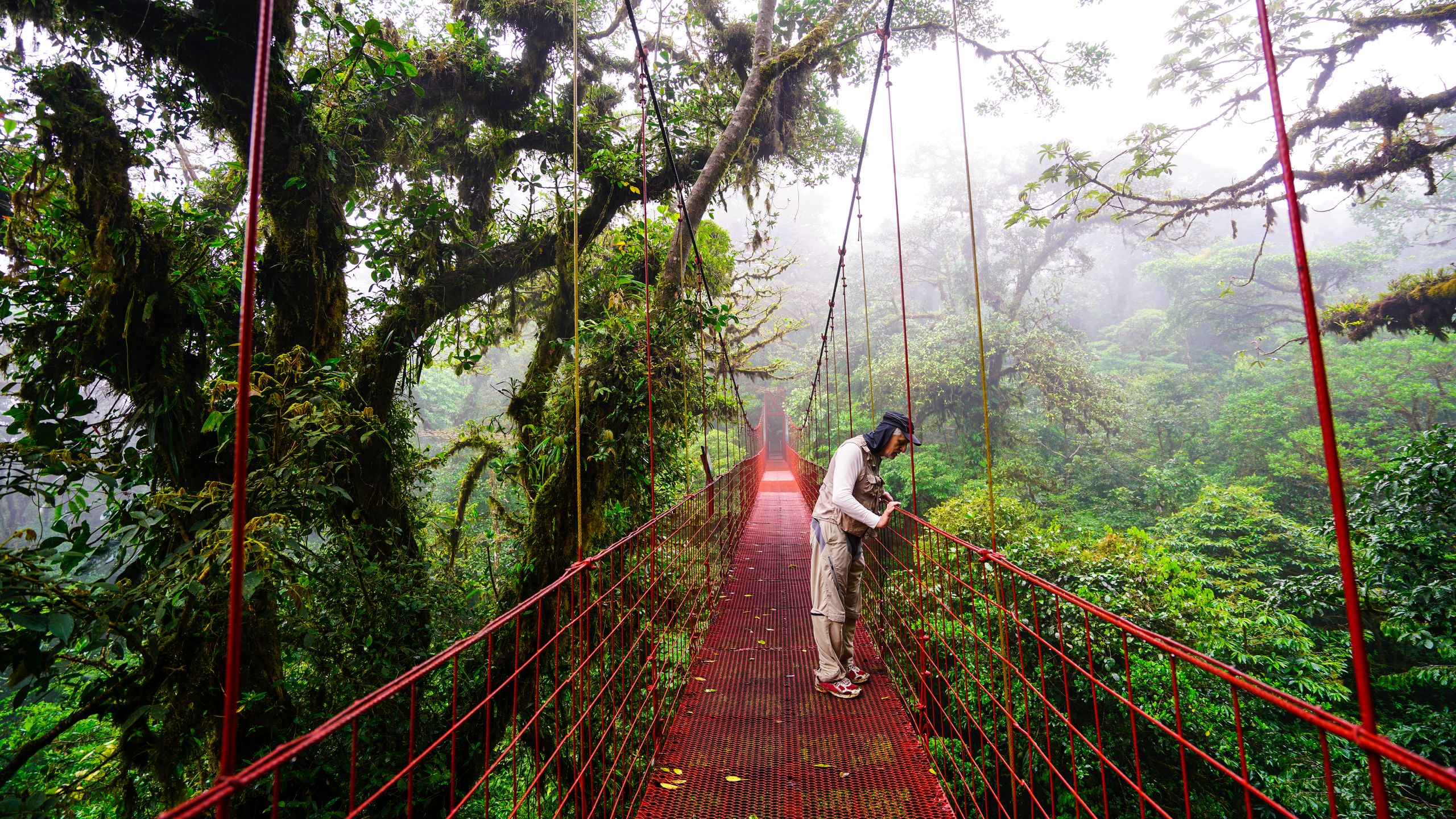 The 2026 Stable Travel Costa Rica cloud forest digital detox